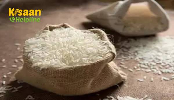 केंद्र ने 1 अक्टूबर की सामान्य शुरुआत तिथि से पहले चावल की खरीद शुरू करने की घोषणा की